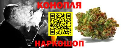 спиды Моздок