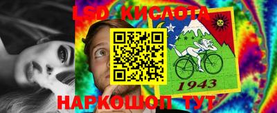 спиды Моздок