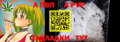 спиды Моздок