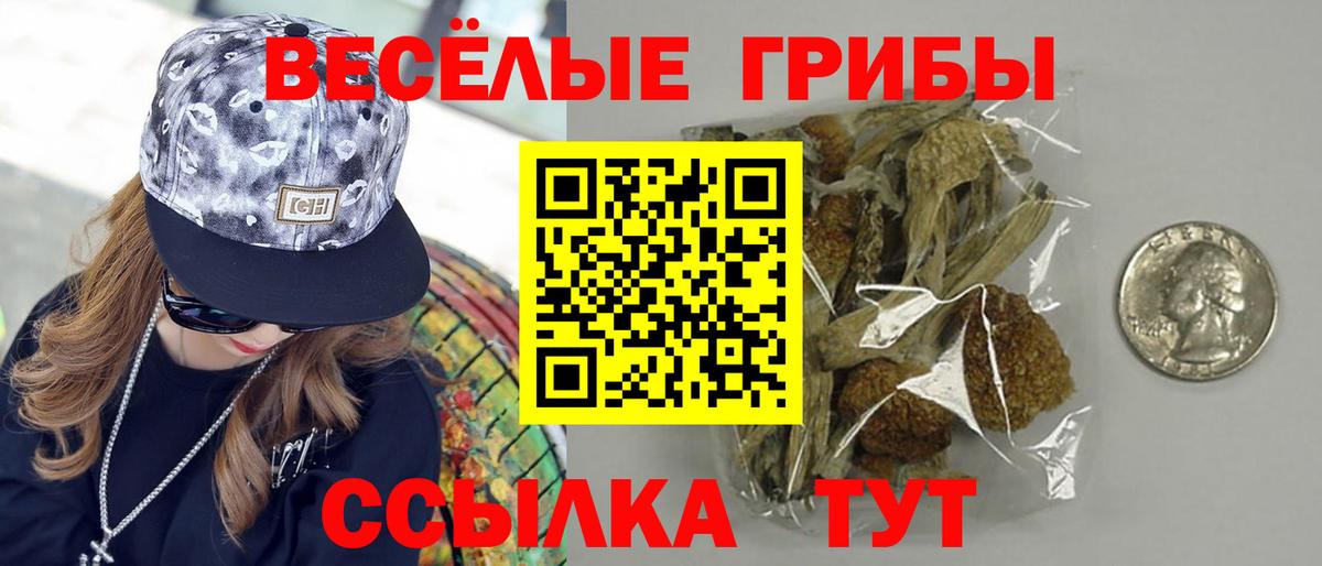 Анжеро-Судженск  Галлюциногенные грибы GOLDEN TEACHER  Вход с VPN  Галлюциногенные грибы Magic Shrooms 