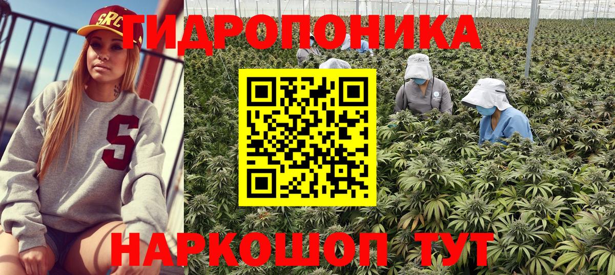 МАРИХУАНА ГИДРОПОН Анжеро-Судженск